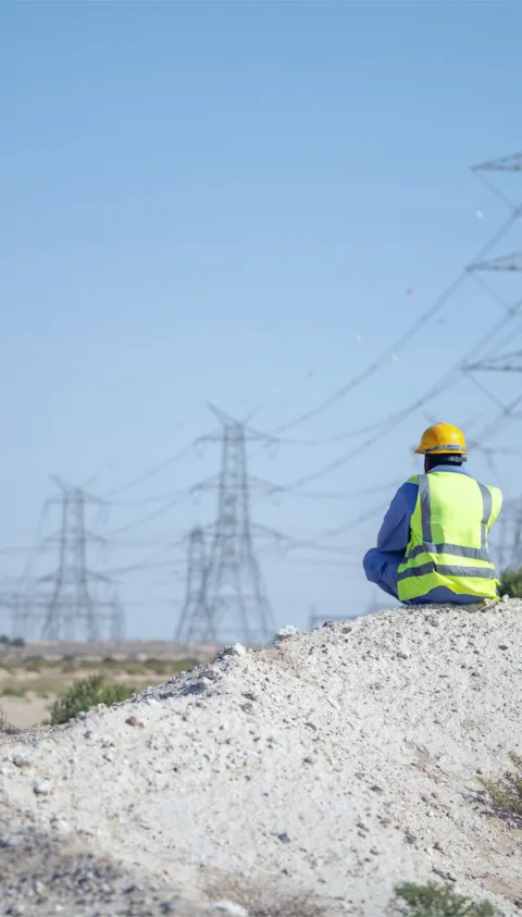 Two workers viewing power grids